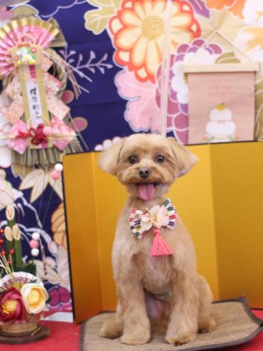 20240127モカくん